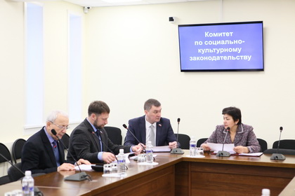Ирина Синцова рассказала о приоритетах работы комитета по социально-культурному законодательству 
